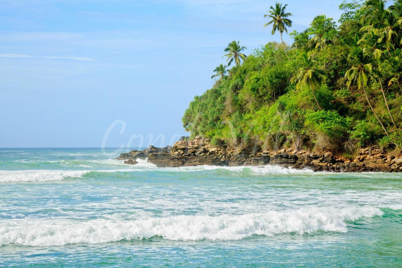 Grand Conch Villa Тангалла Экстерьер фото