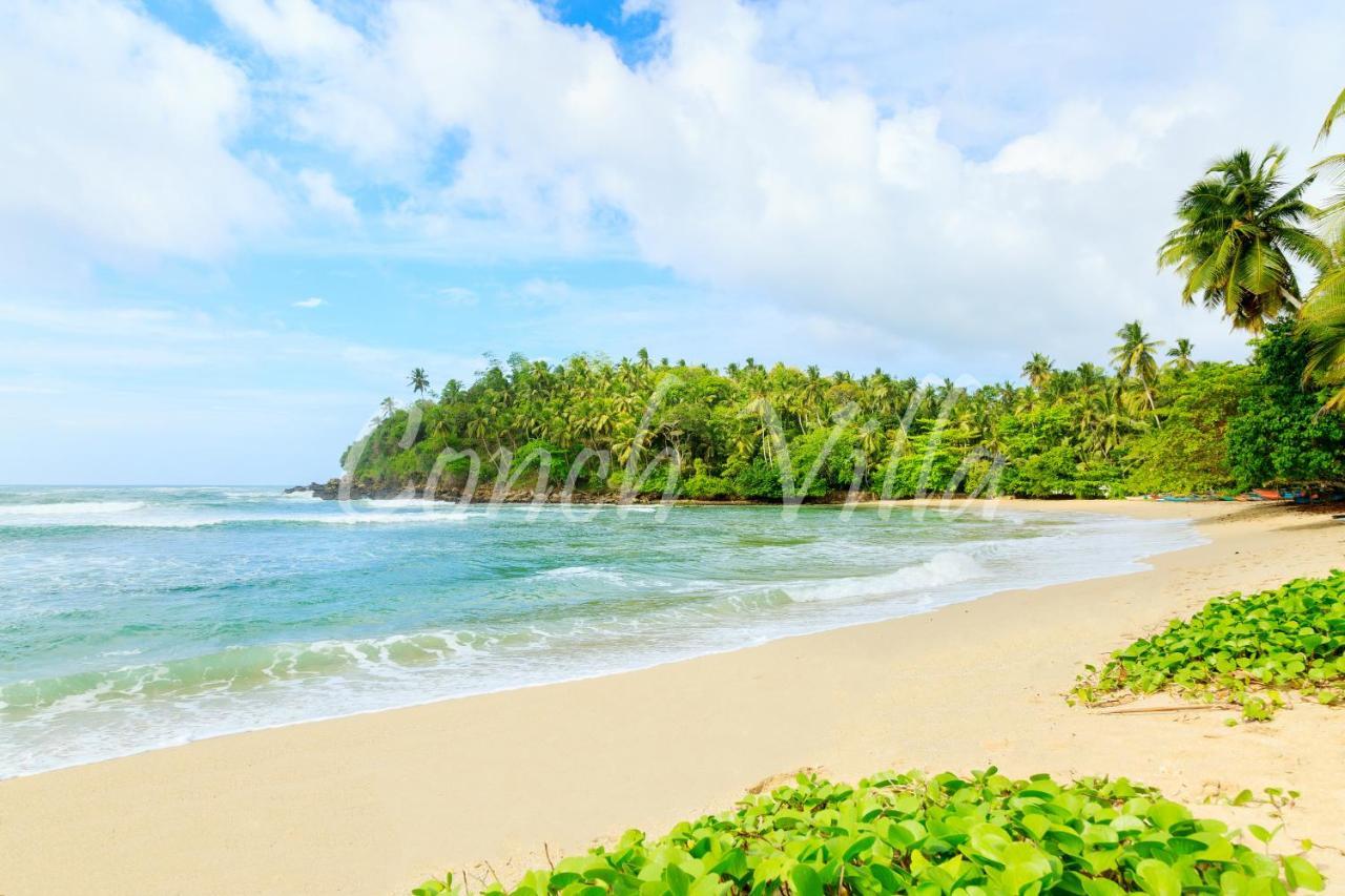 Grand Conch Villa Тангалла Экстерьер фото